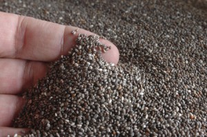 chia-bio-antioxydant-naturel-cancer-cereale-biologique-systeme-immunitaire-cholesterol-vegetarien-gluten-graine-vertus Le chia bio, une petite graine aux mille vertus